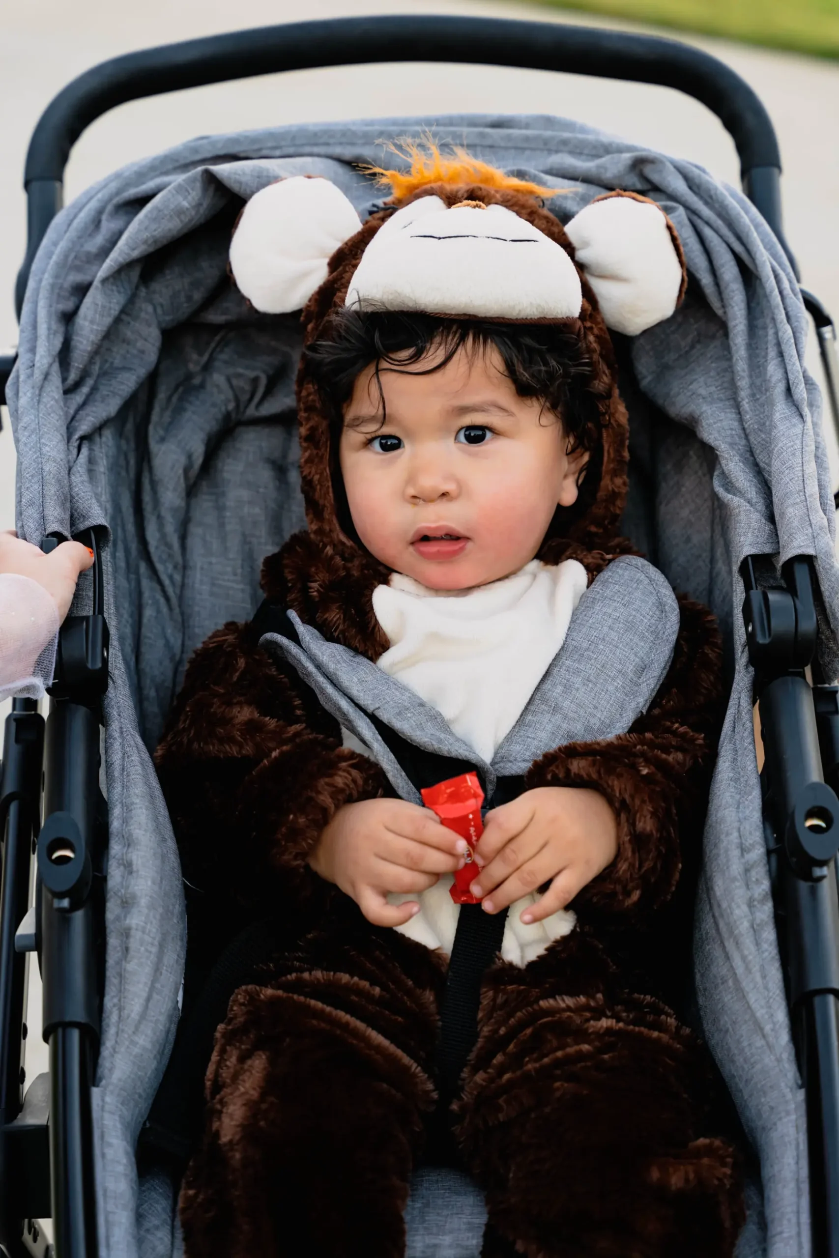 What to Look for When Buying a Stroller Travel System